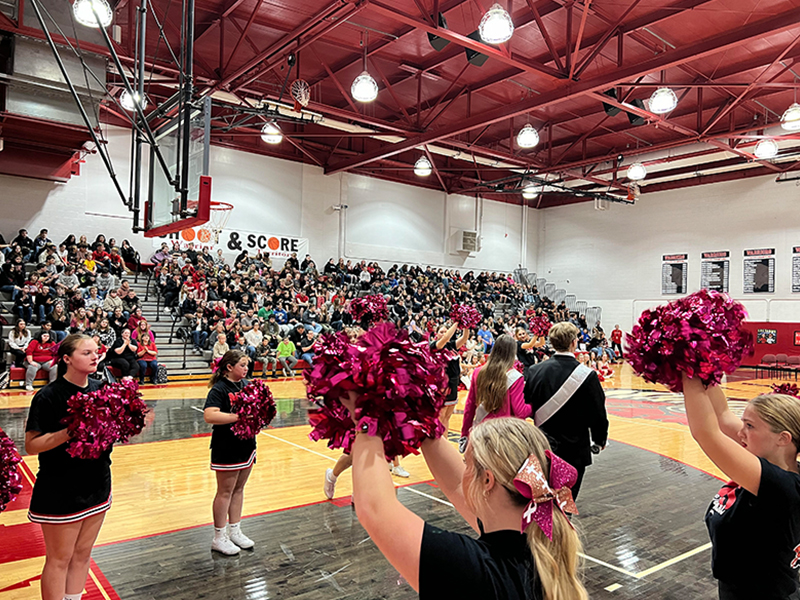 Cheerleaders in the gym